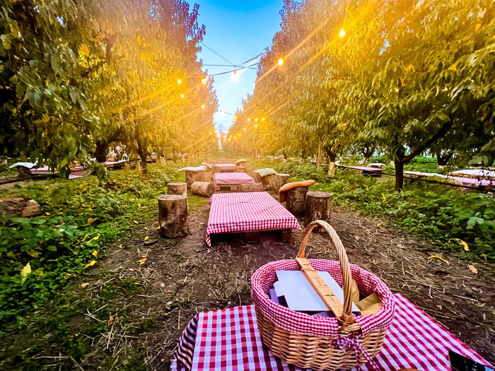 Esperienze enogastronomiche