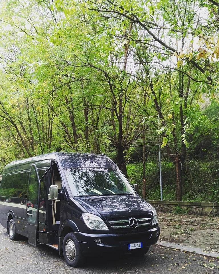 Minibus Mercedes Sprinter