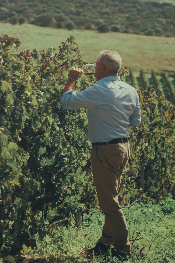 Degustazioni in cantina