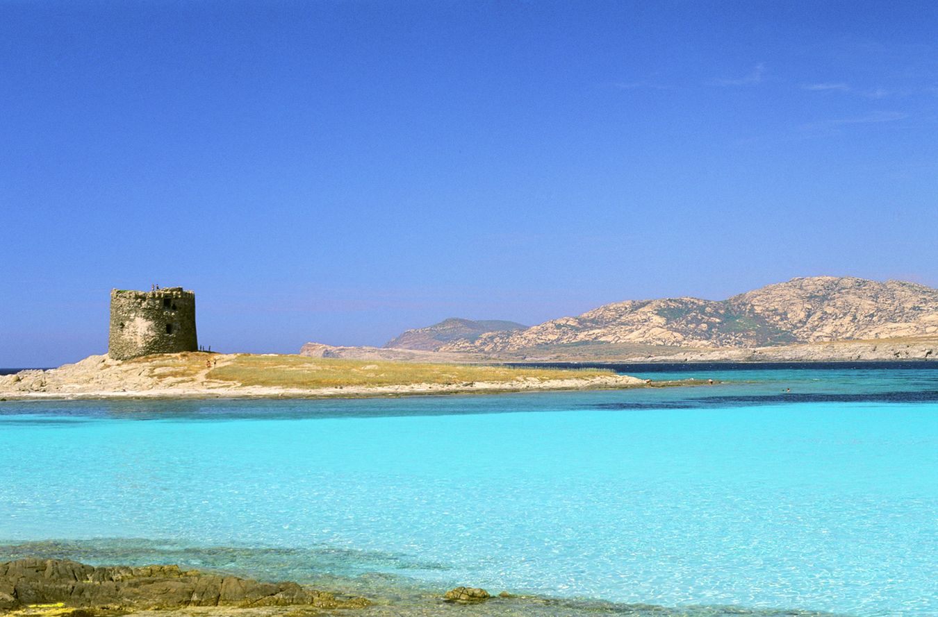 Zone umide e costa della Sardegna
