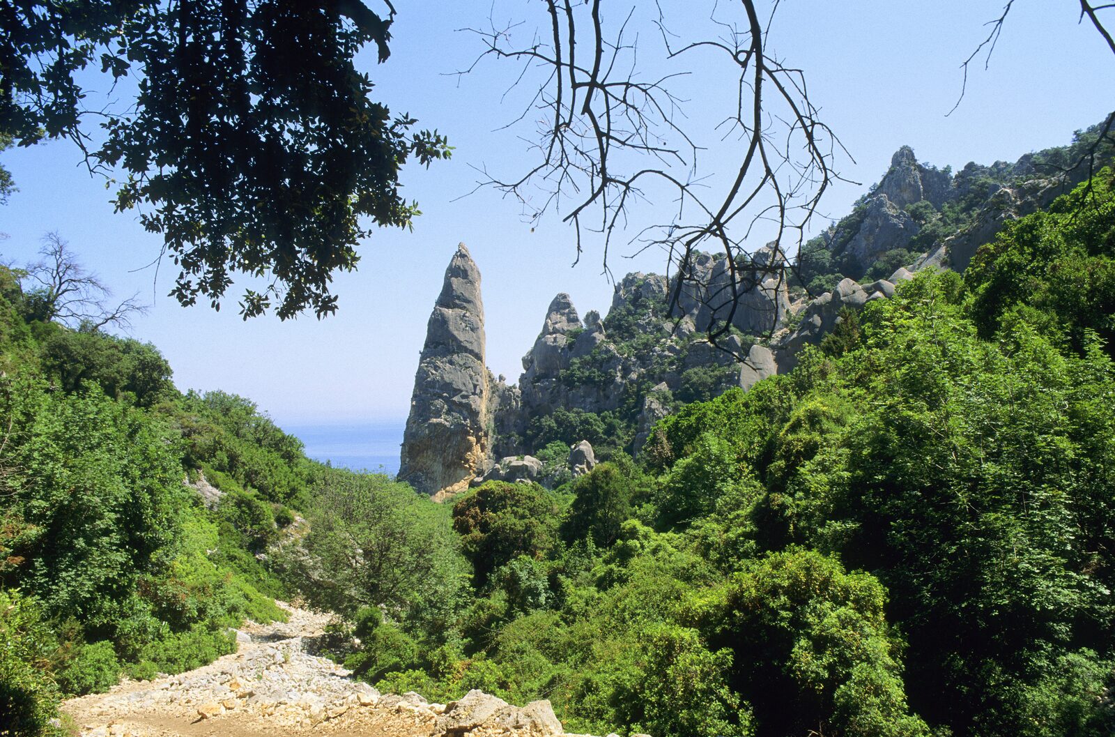 Sardegna attiva: trekking tra Supramonte e costa