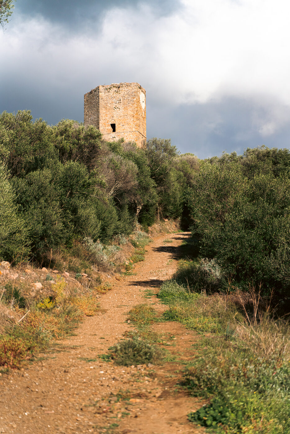 Sentiero tra la macchia mediterranea verso un'antica torre